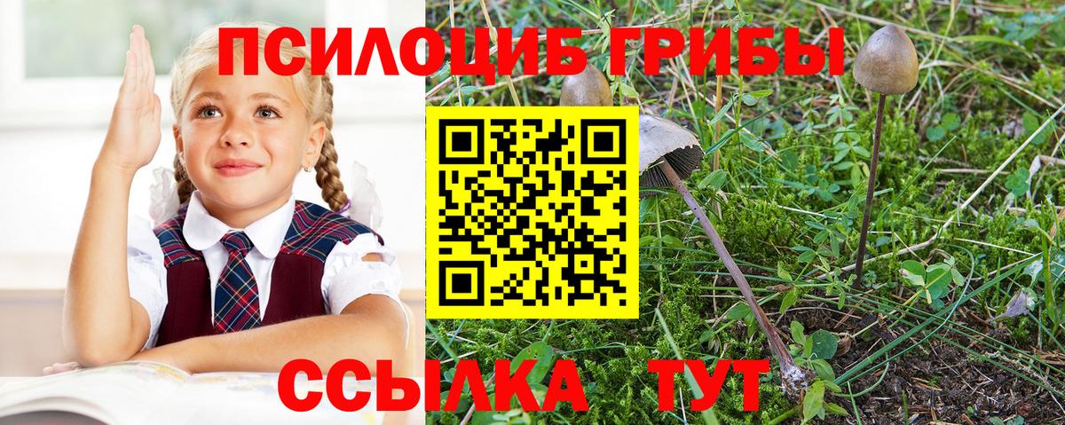 Мыски  Галлюциногенные грибы мицелий  Псилоцибиновые грибы Psilocybe  Вход с VPN 