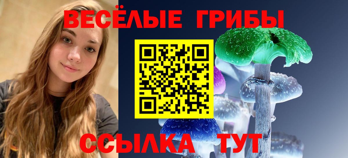 Псилоцибиновые грибы ЛСД Мыски